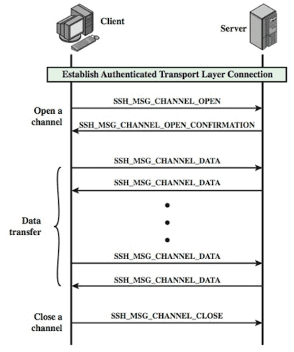 Deep dive into networking distech controls optigo networks transport and application layers