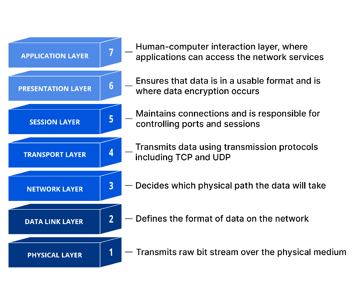 The seven layers of the OSI network model.