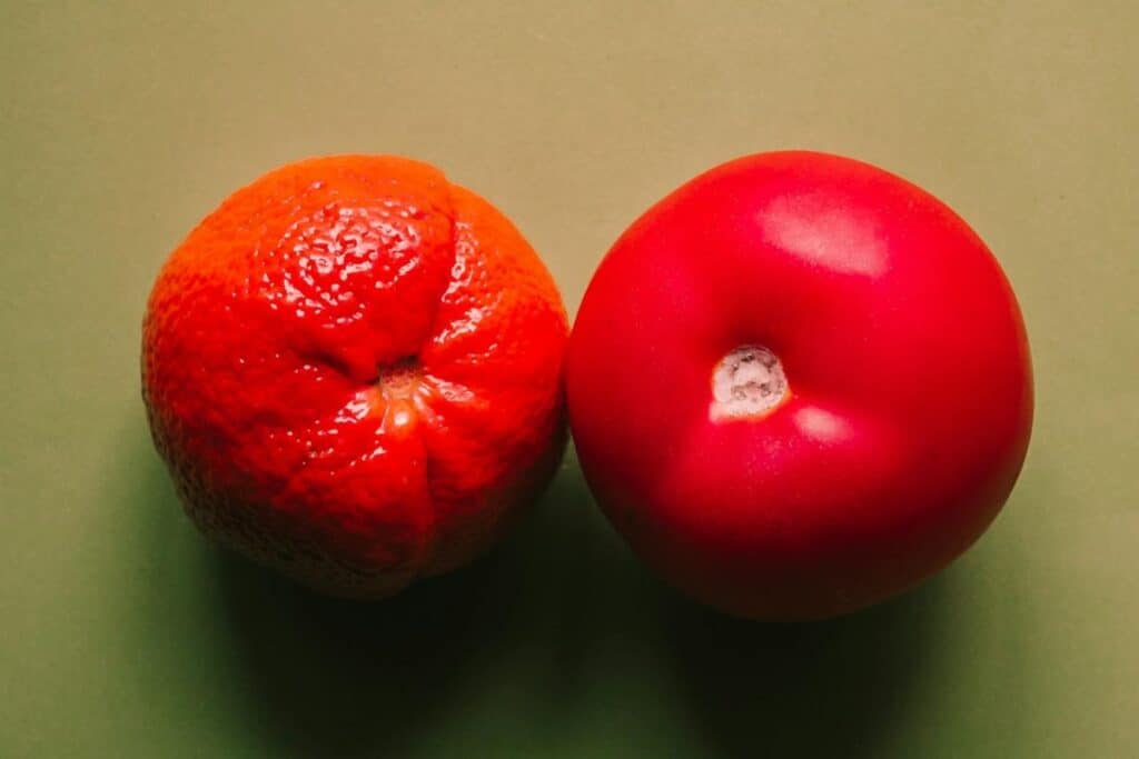 Orange and red tomato side by side