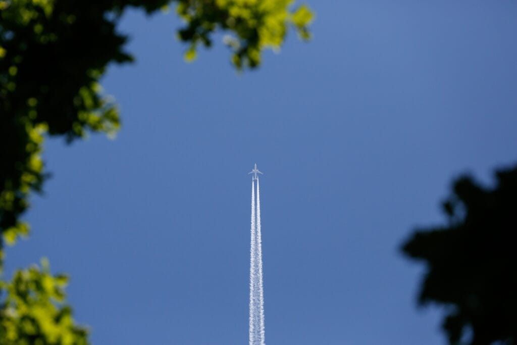 Cell tower beside blurred green leaves under blue sky